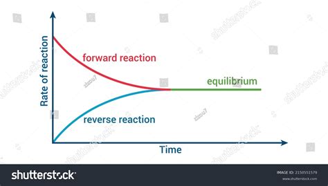 Chemical Equilibrium Graph Diagram Vector Illustration Stock Vector ...