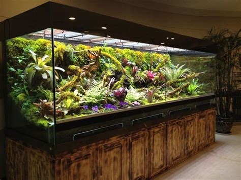 Pin by Animal Wonders on Vivarium, Aquarium, & Terrariums | Frog terrarium, Aquascape, Vivarium