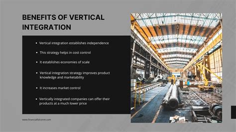 Vertical Integration Benefits - Financial Falconet