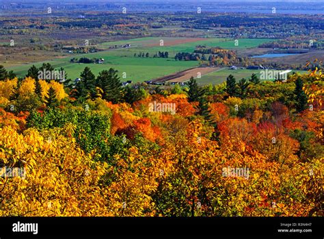 Canada, Quebec, Gatineau Park. Ottawa Valley overlook and sugar maples ...