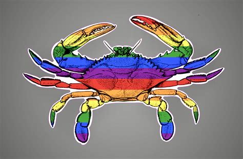 Rainbow Crab Decal - Etsy