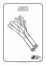 Leek Poireau Prei Lauch Coloriage Kleurplaat Coloring Para Colorear  sketch template