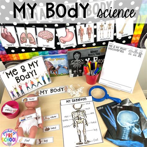 My Body Themed Activities and Centers - Pocket of Preschool