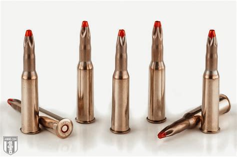 Best 7.62x39 Hunting Ammo Recommended by Ammo.com