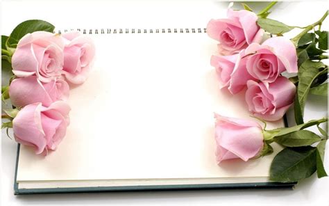 Pink Roses Flowers And Diary Wallpaper | pink roses flowers and diary ...