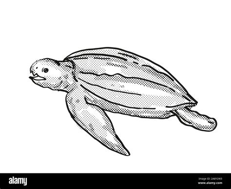 Black Sea Turtle Cartoon