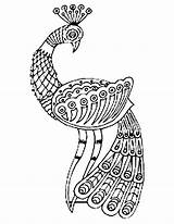 An Art Drawing Of Glamorous Peacock Coloring Page  Kids Play Color sketch template