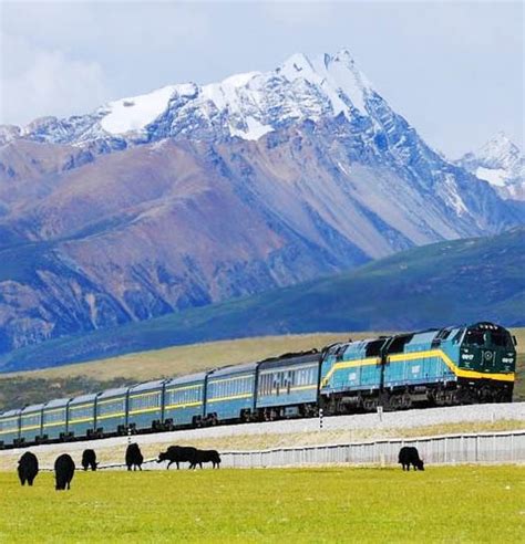 Qinghai Tibet Railway: Facts, Map, Highlights, Train Ticket & Price 2025