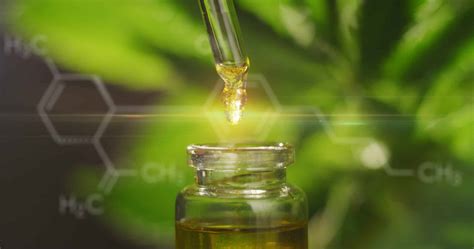 Extracting Terpenes the GoldDrop Way - Extraction Magazine