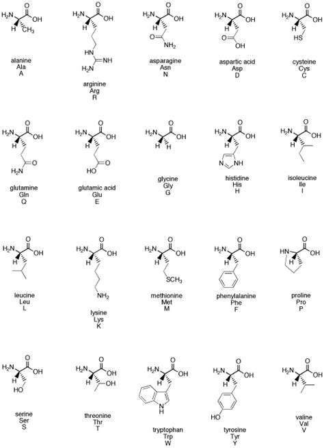 carbonyl addition