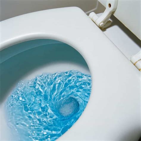 Toilet Won’t Flush All the Way