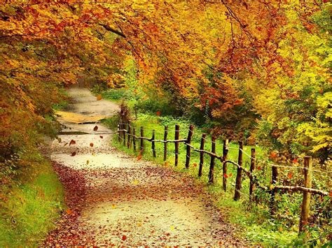 Peaceful Autumn Scene Wallpapers - Wallpaper Cave