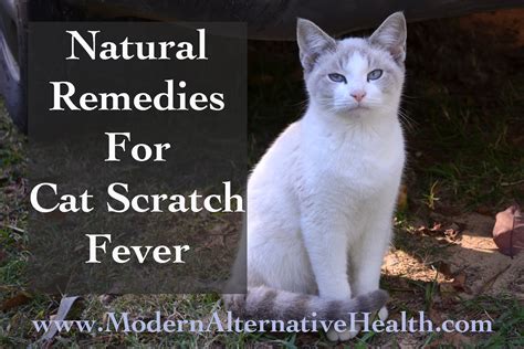 Natural Remedies for Cat Scratch Fever