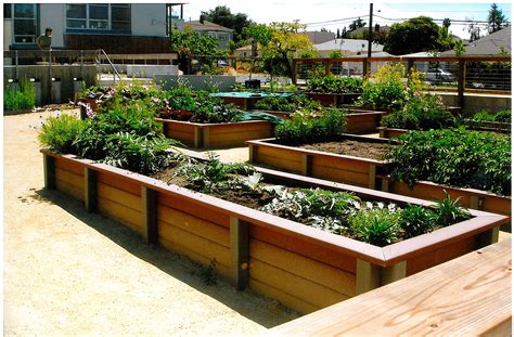 Raised planting boxes https://miller-company-production.s3.amazonaws.com/uploads/project/image ...