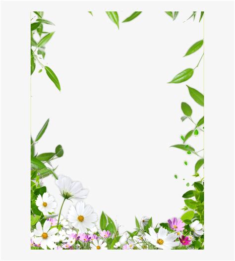 Picture Ceiling Flower Frame Border Drawing Clipart - Nature Flower Border Design PNG Image ...