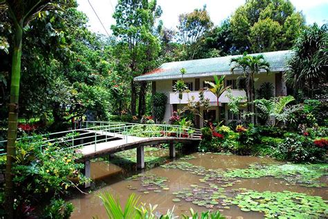 Philippines Eagle Center, Davao's Wildlife Haven