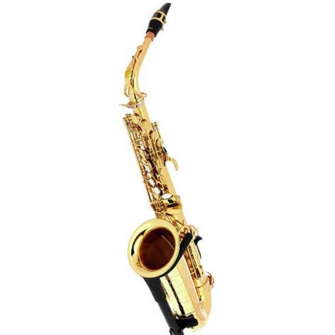 How much is a student saxophone? - Aurosus is professional– hhad