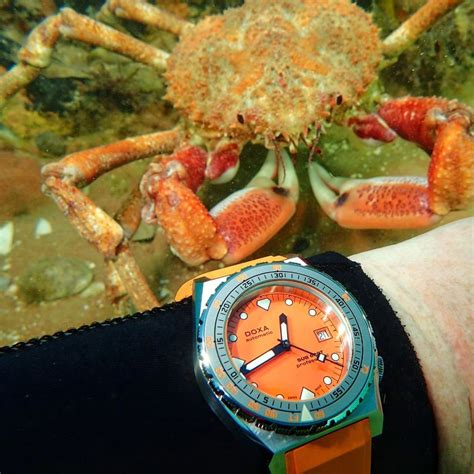 The Unstoppable Legacy of Doxa Watches