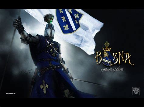 Bosnian Flag Wallpaper