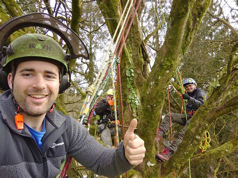 Tree felling courses | LBS Training & Assessing | Wellington