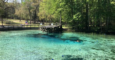 7 Ways To Make The Best Of A Weekend Trip To High Springs, Florida