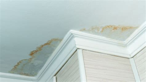 Painting over water stains: Pro tips for the perfect finish | Homebuilding