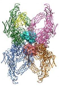 Alpha-2-Macroglobulin - "The Miracle Molecule" for Pain