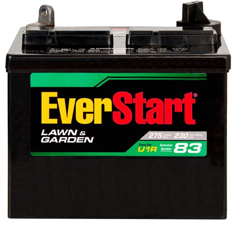 8 Photos Everstart Lawn And Garden Battery Amp Hours And Description - Alqu Blog