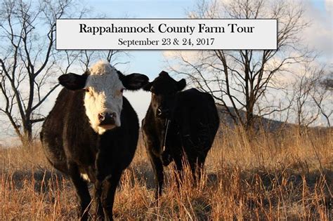 Rappahannock.com - Rappahannock County Farm Tour