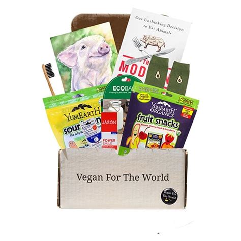 Guide to the Best Vegan Subscription Boxes - Your Daily Vegan