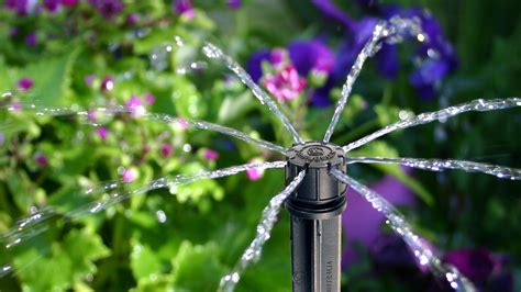 Micro Irrigation Garden Adjustable Dripper/Sprinkler on Stake 0-40 LPH Antelco | eBay