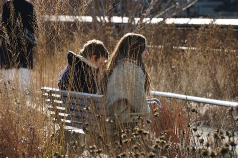 Fantastic Photographs of The High Line in the Dead of Winter | Viewing NYC