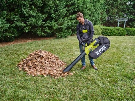 Best Cordless Leaf Blower Reviews 2024 - PTR