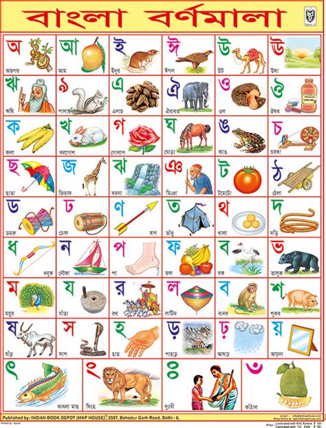 BENGALI ALPHABET CHART SIZE 45 X 57 CMS