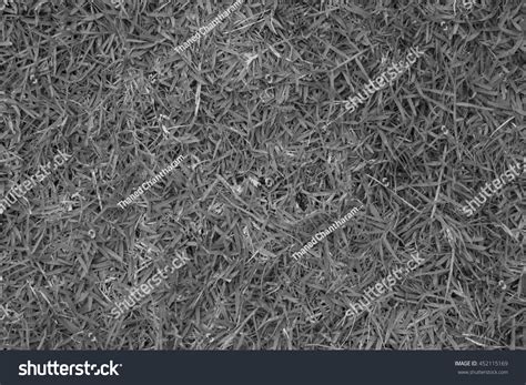 Grass Texture Black White Stock Photo 452115169 | Shutterstock