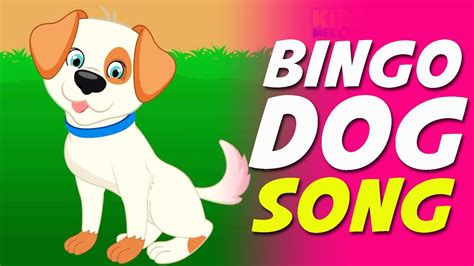 Bingo Dog Song Nursery Rhyme - YouTube