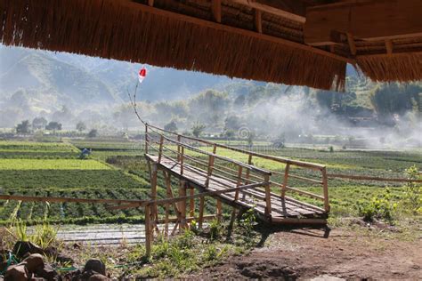 View of the Sembalun Village of Lombok, Mount Rinjani, the Hills of ...