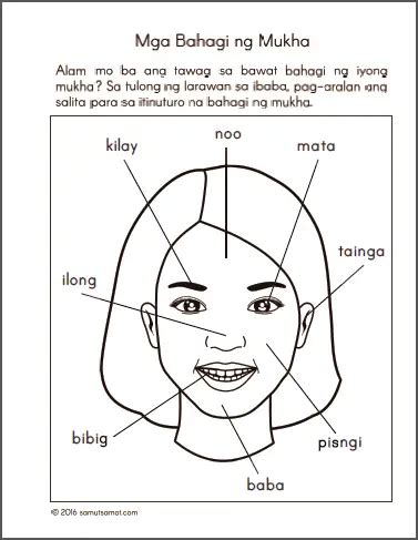 Mga Bahagi ng Mukha at Katawan, atbp. Worksheets - Samut-samot