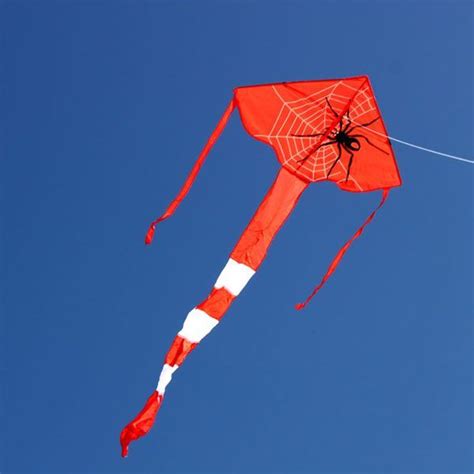 Spider kite - Leading Edge Kites - Single string Spider childrens kite