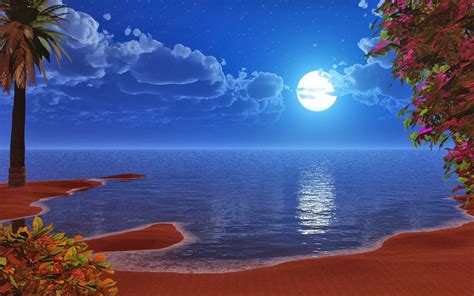 🔥 [130+] Beach Night HD Wallpapers | WallpaperSafari