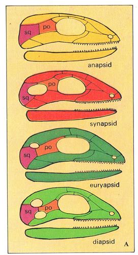 September 5, 2015 | Everything Dinosaur Blog