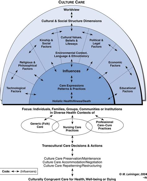 22. Culture care theory of diversity and universality | Nurse Key