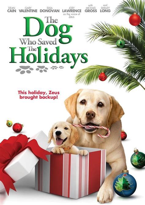 The Dog Who Saved the Holidays (TV) (2012) - FilmAffinity