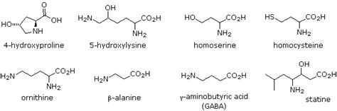 26.1 Structures of Amino Acids - Chemistry LibreTexts