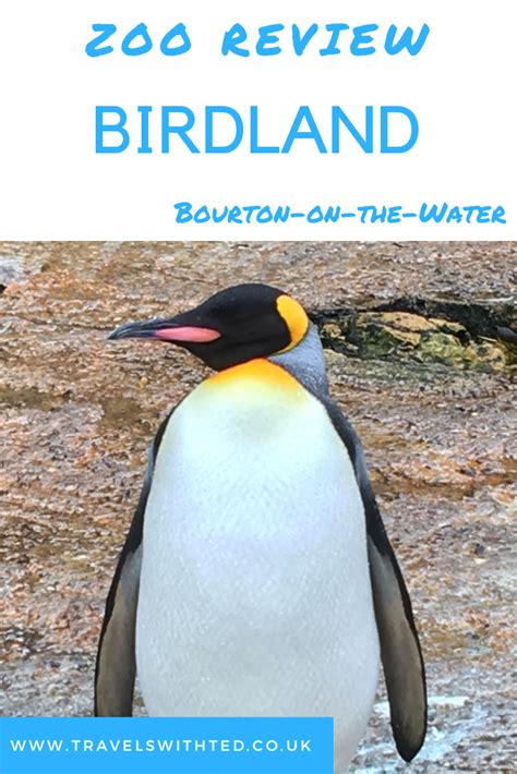 Birdland and Jurassic Journey - Bourton on the Water | Fun family days out, Bourton, Birdland