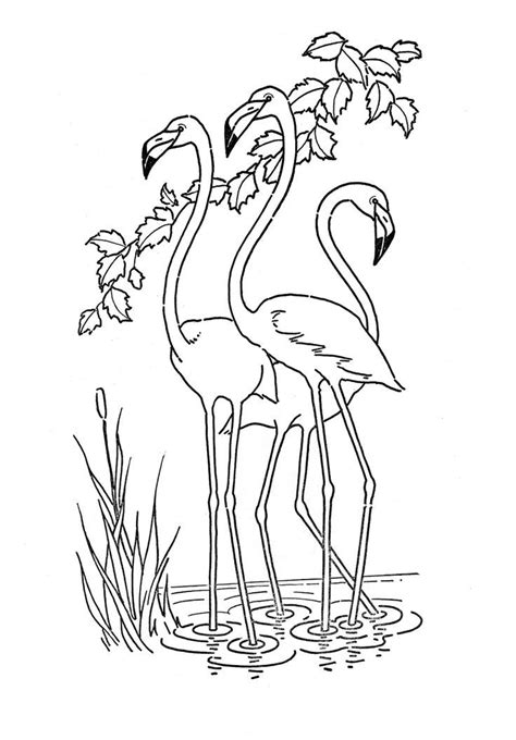 Kids Printable - Flamingo - Coloring Page Flamingo Coloring Page, Fairy ...