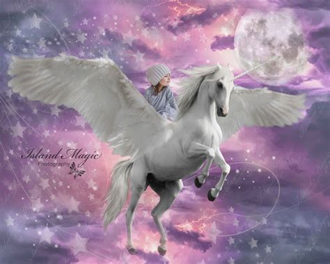 Unicorn Pegasus Digital Background Digital Backdrop - Etsy