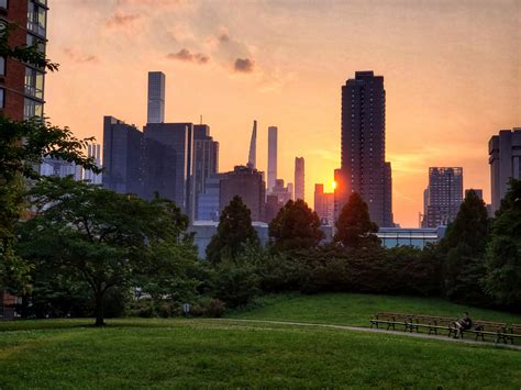 Sunset on Roosevelt Island New York city : r/beautifultrees