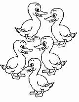 Five Little Ducks Printablex Coloring Page sketch template