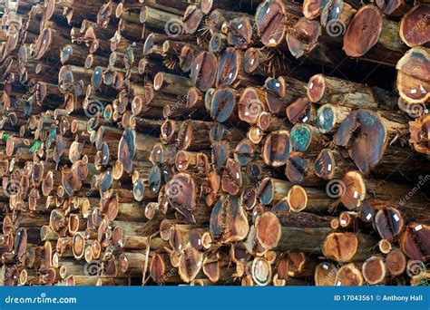 Stacked Redwood Lumber Stock Image - Image: 17043561